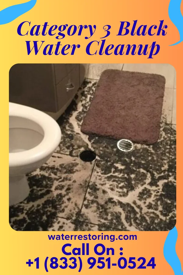 Category 3 Black Water Cleanup in Paullina, IA